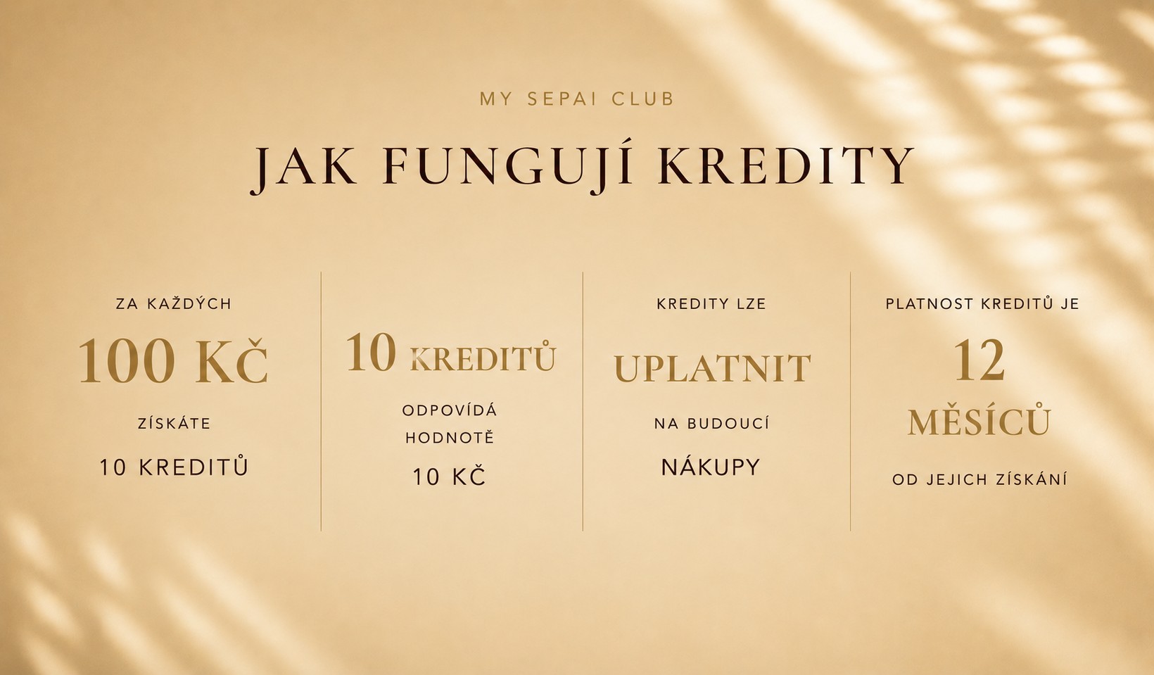 bonusový systém kredity